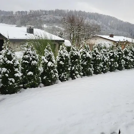 Appartamento Mit Hund In *