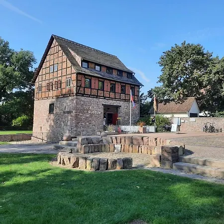 Mit Hund In Lejlighed *