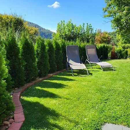 Lejlighed Mit Hund In Bodenwerder