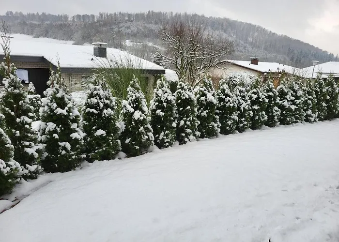 Appartement Mit Hund In *